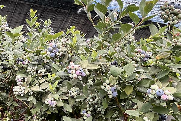 首页|尊龙人生就是博官网入口